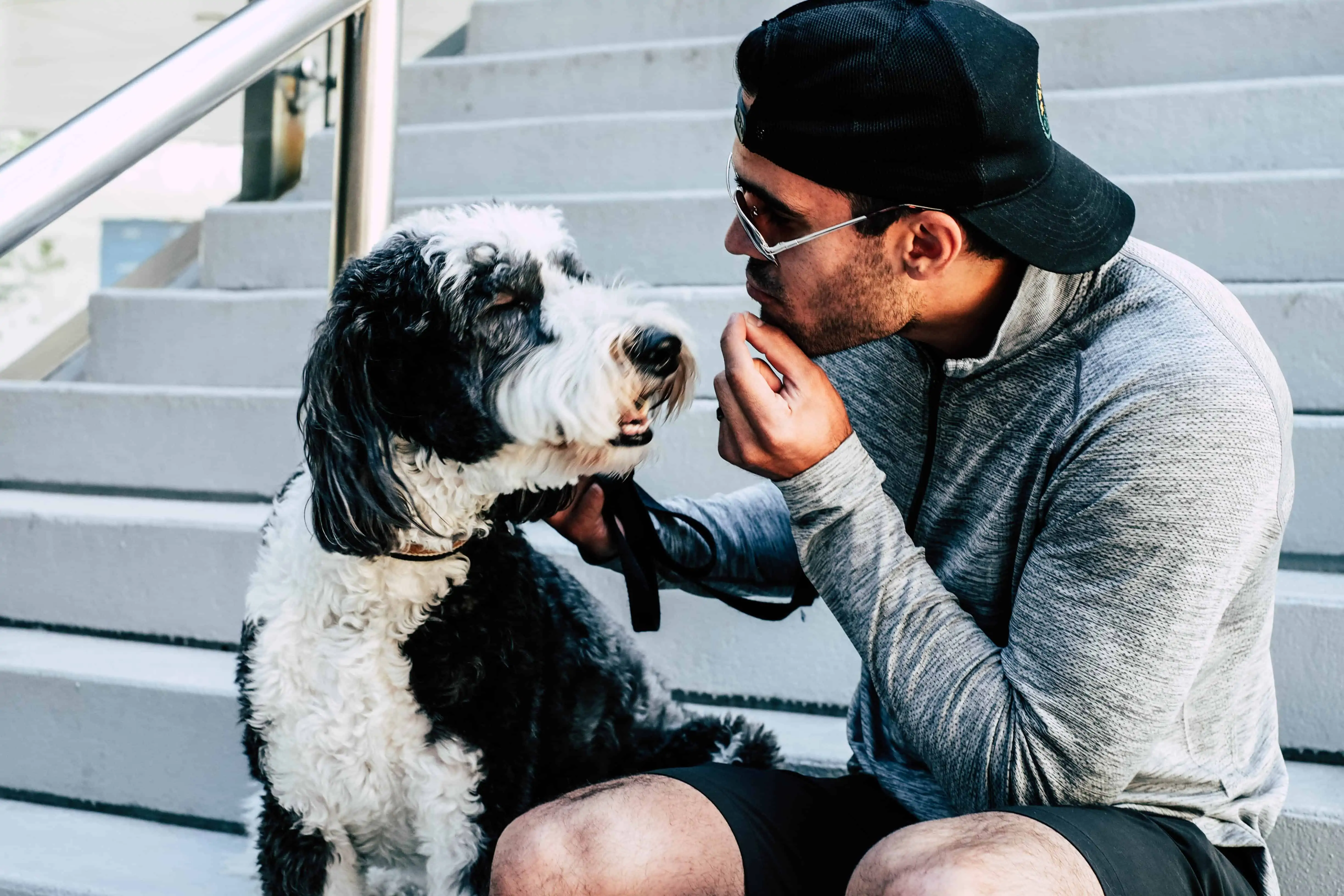 man looking at his dog