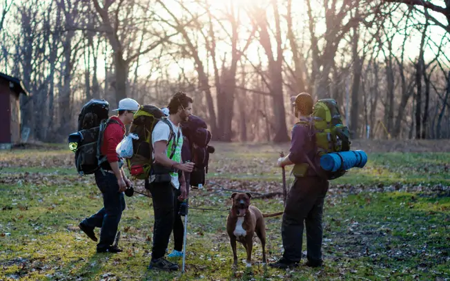 Dog and people camping together, getting ready for a hike