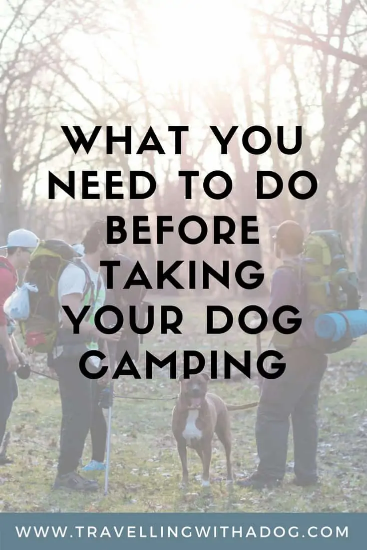 image with text overlay: what you need to do before taking your dog camping