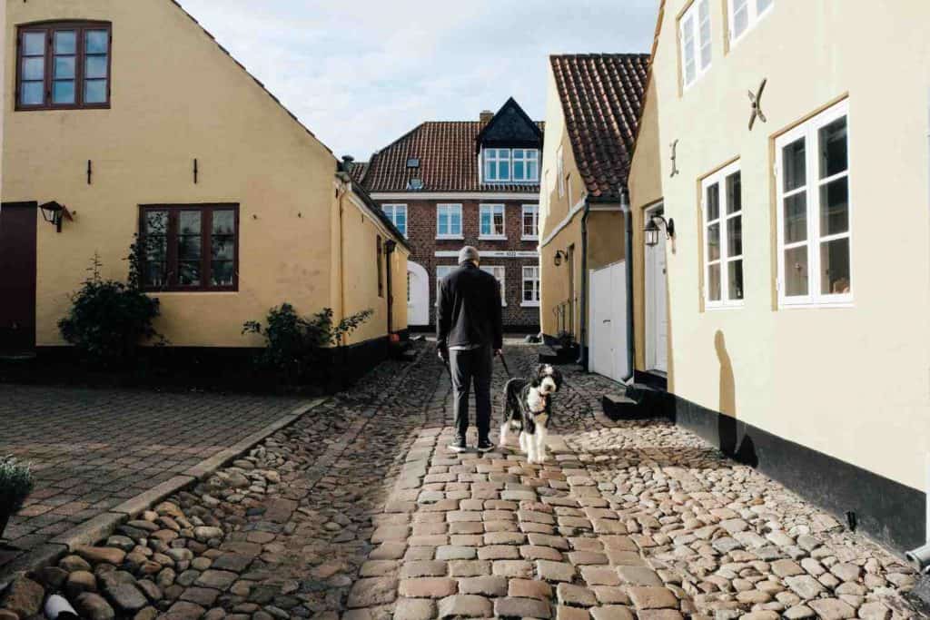 man walking with his dog