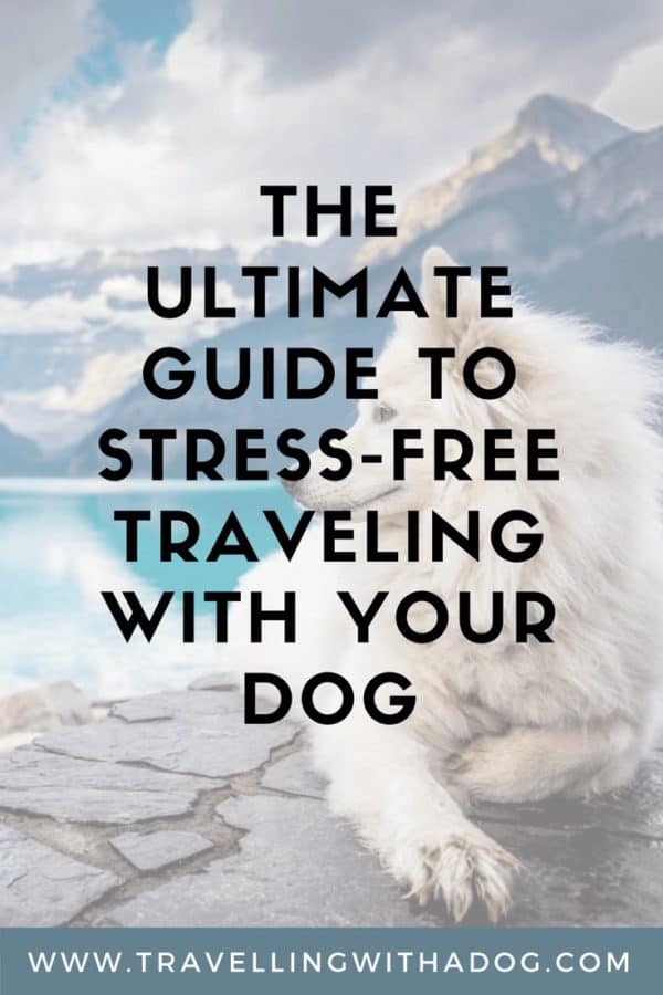 Traveling With Your Dog The Stress Free Guide Travelling With A Dog