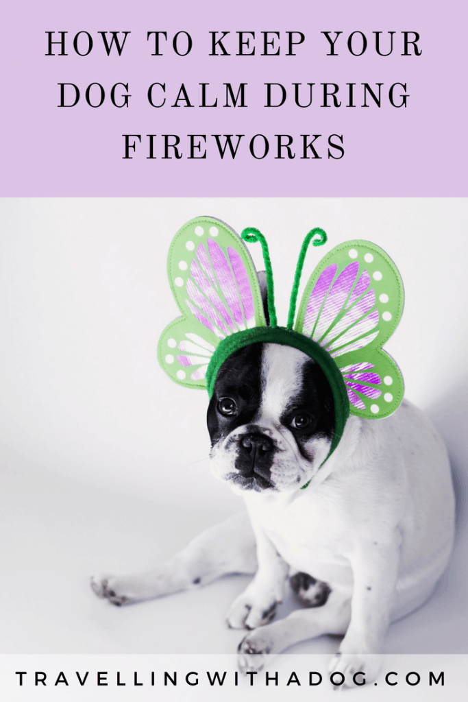 image with text overlay: how to keep your dog calm during fireworks