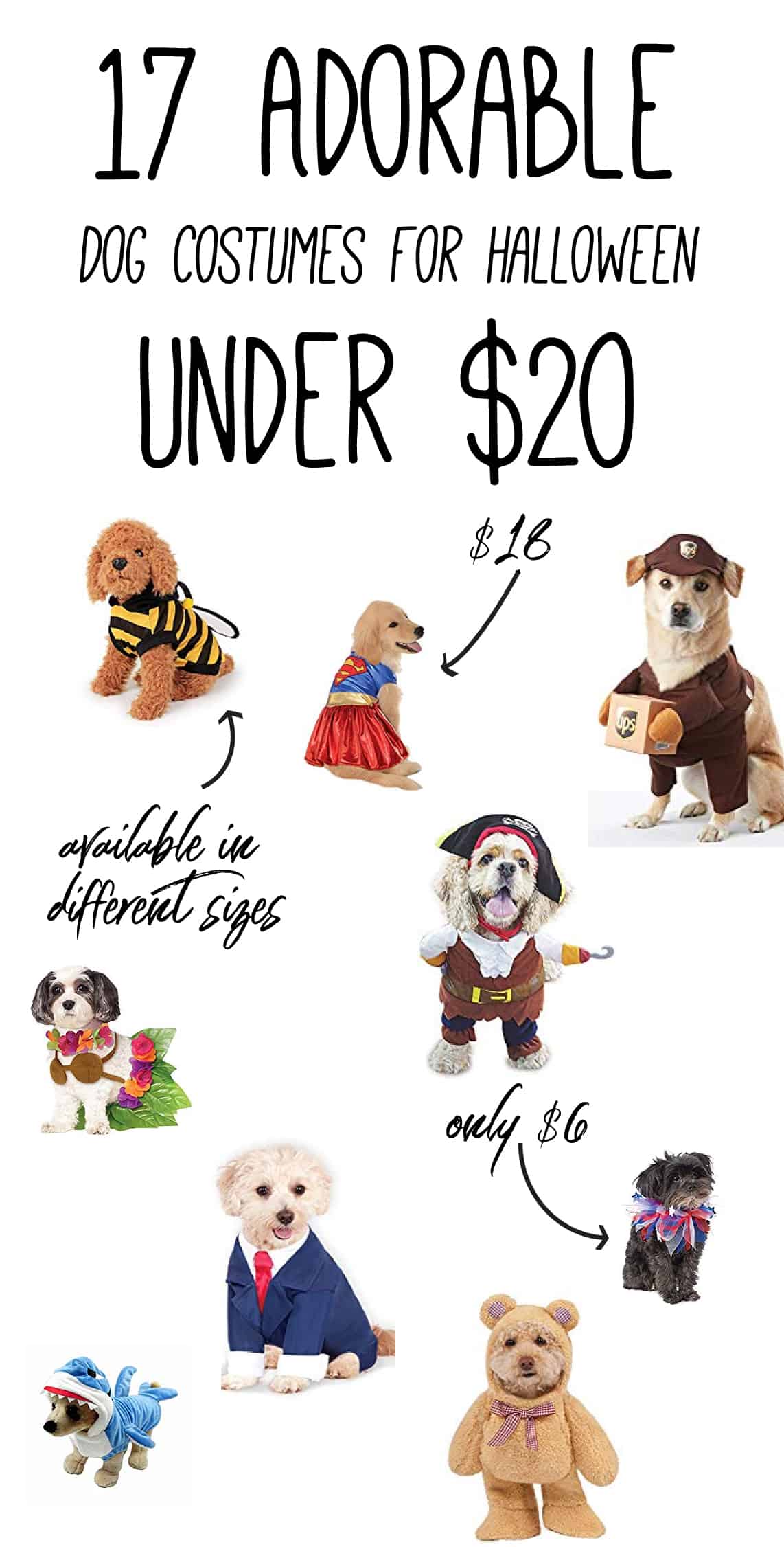 Dog halloween costume infographic