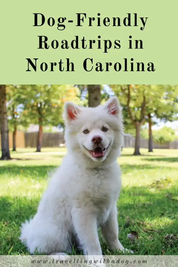 image with text overlay: dog-friendly roadtrips in north carolina