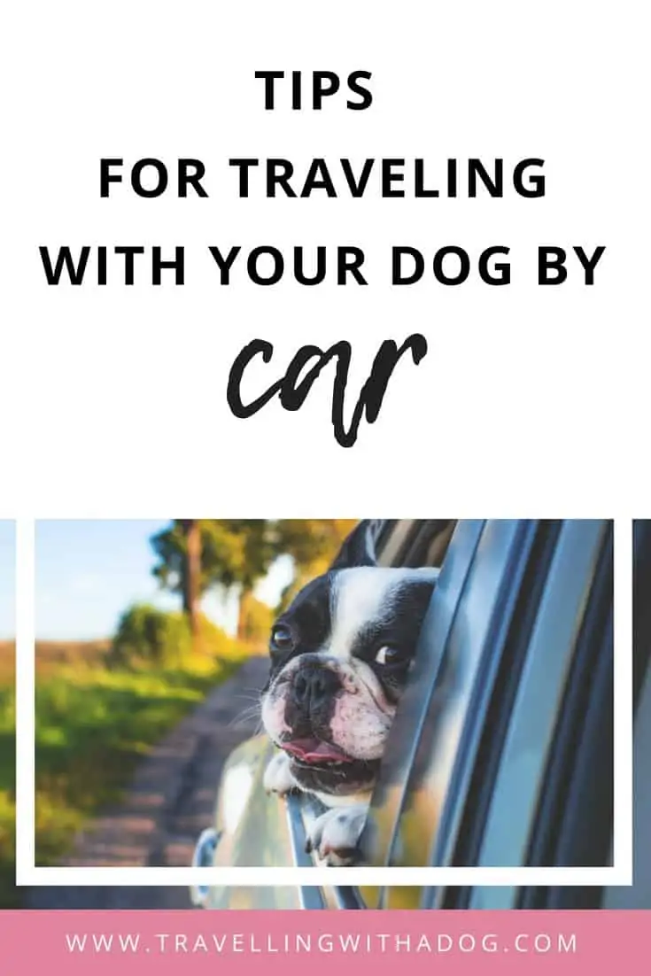 image with text overlay: tips for traveling with your dog by car