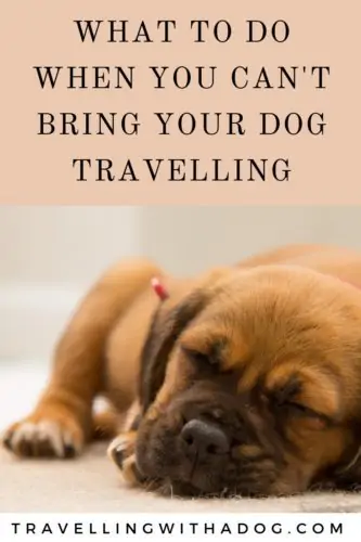 image with text overlay: wat to do when you can't bring your dog travelling