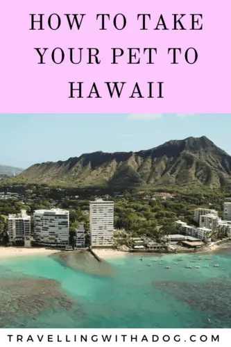 image with text overlay: how to take your pet to hawaii