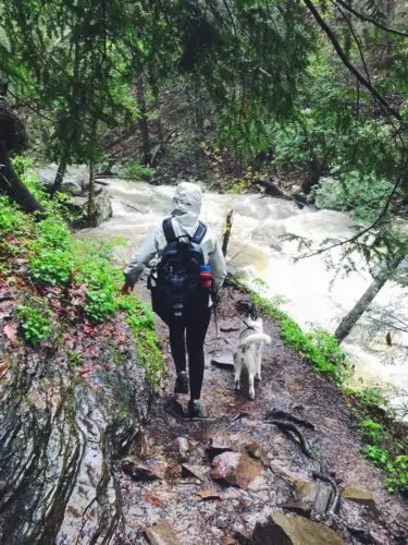 Husky and girl hiking together