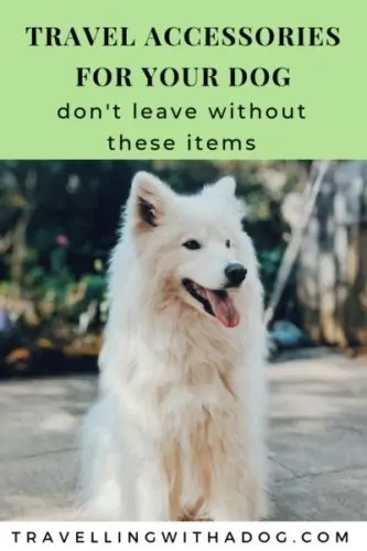 image with text overlay: travel accessories for your dog: don't leave without these items