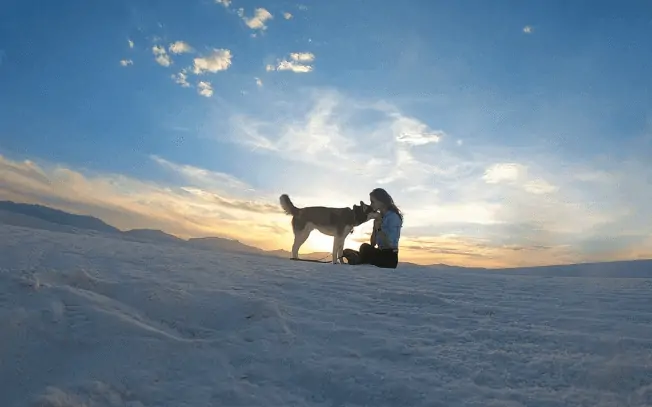 A dog and girl at white sands national monument