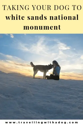 image with text overlay: taking your dog to white sands national monument