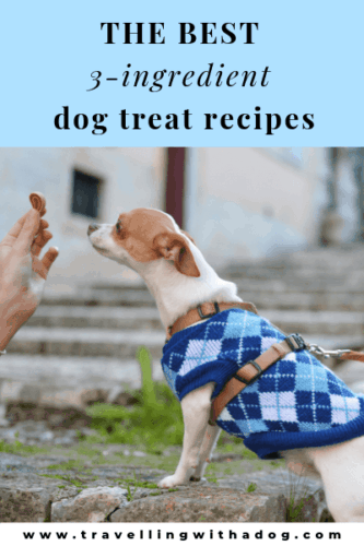 image with text overlay: the best 3-ingredient dog treat recipes