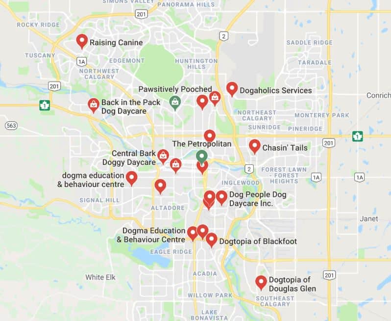 A google map showing dog day cares in Calgary