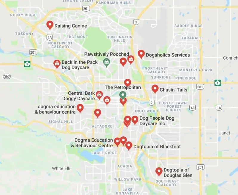 A google map showing dog day cares in Calgary