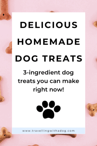 image with text overlay that says: delicious homemade dog treats. 3 ingredient dog treats you can make right now!