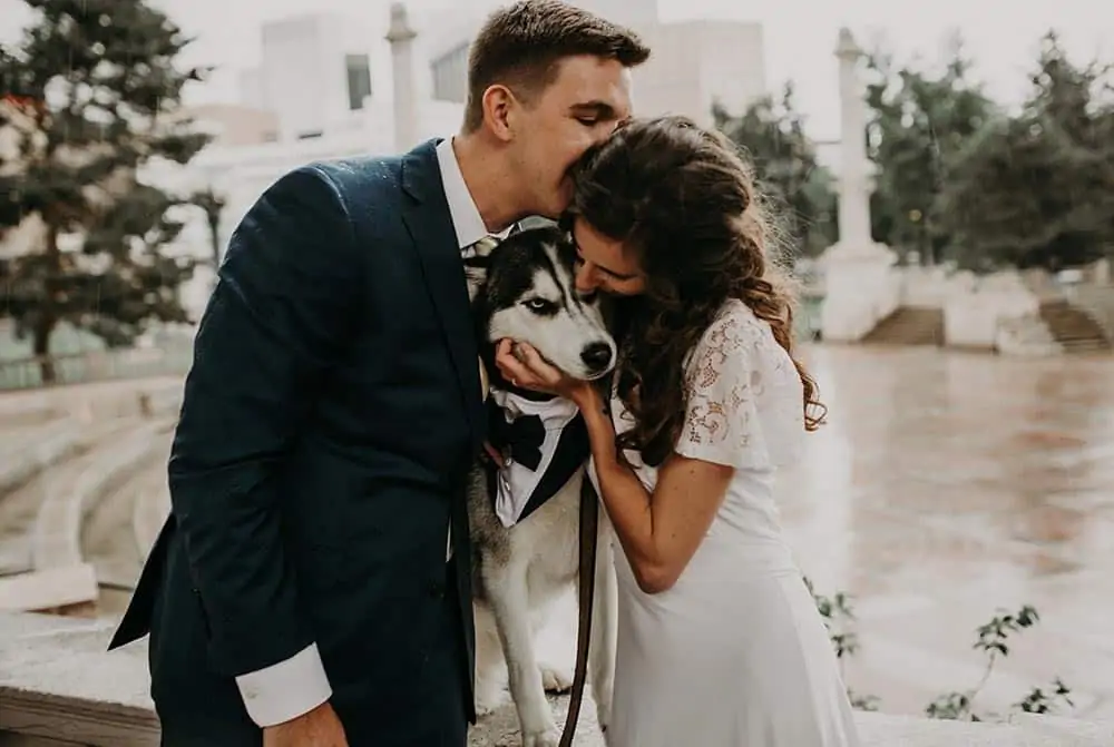 Bride and groom kissing husky dog