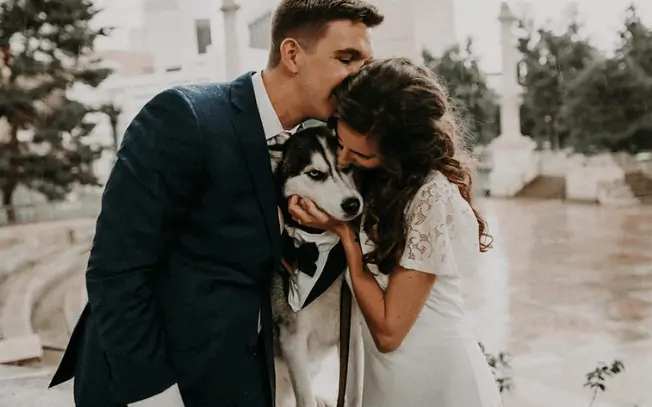 Couple getting married and kissing their dog