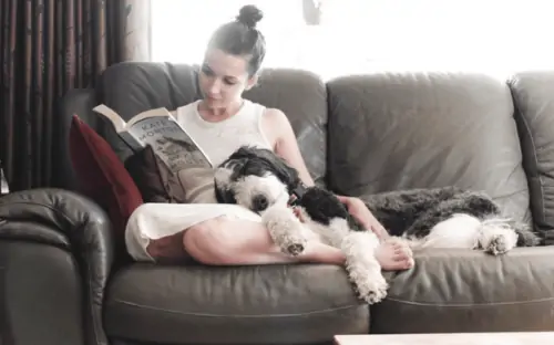 Girl reading on cough while dog sleeps on her lap