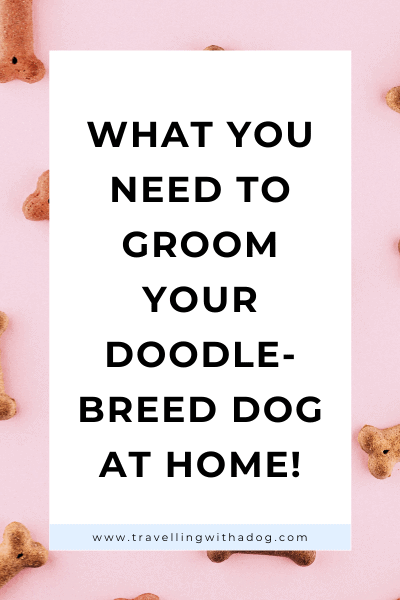 image with text overlay: what you need to groom your doodle dog breed at home
