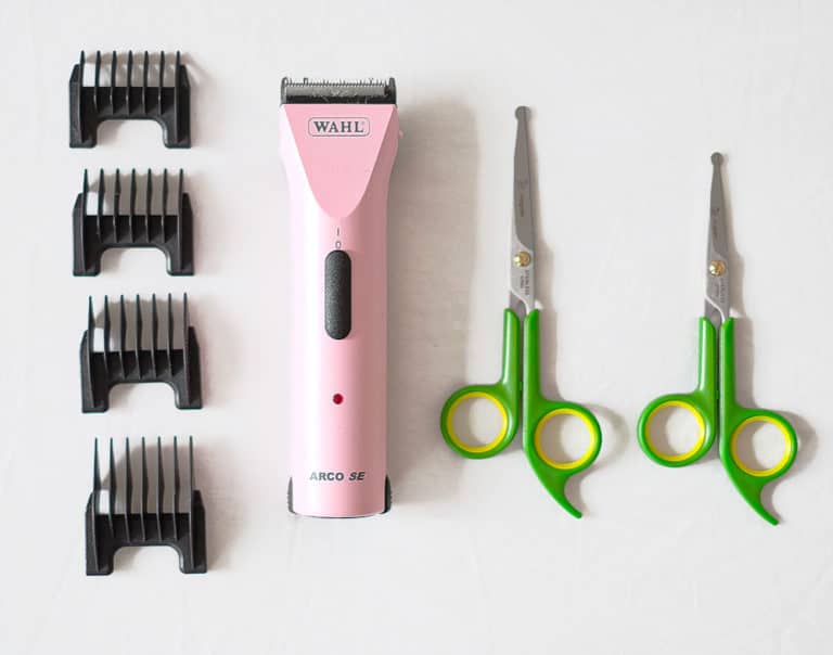 How To Groom Your Sheepadoodle At Home Tips Tools 