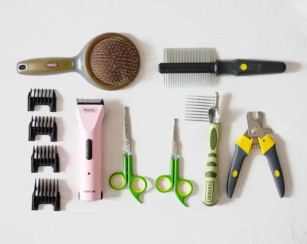 An assortment of dog grooming tools