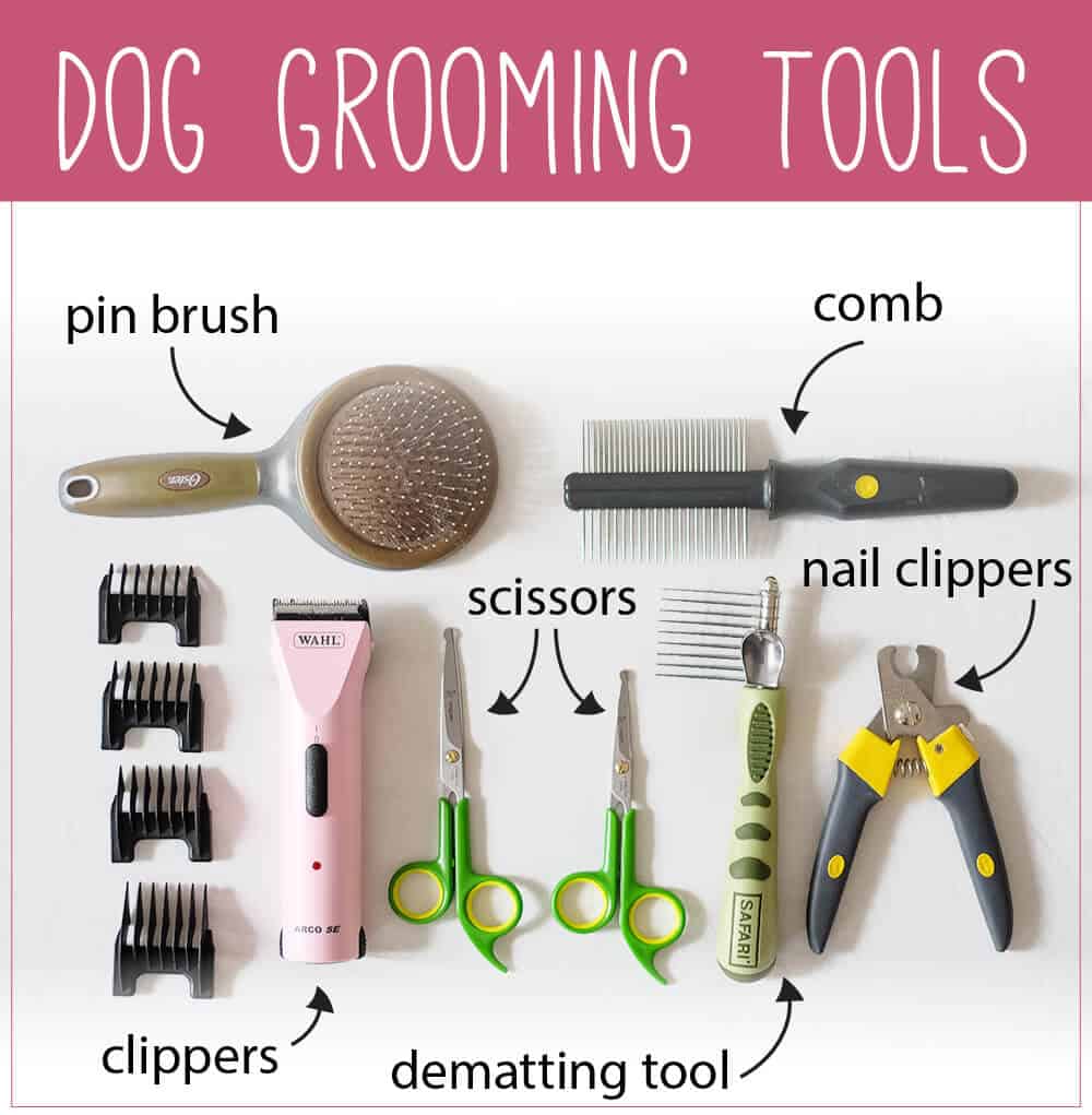 dog grooming tools and uses