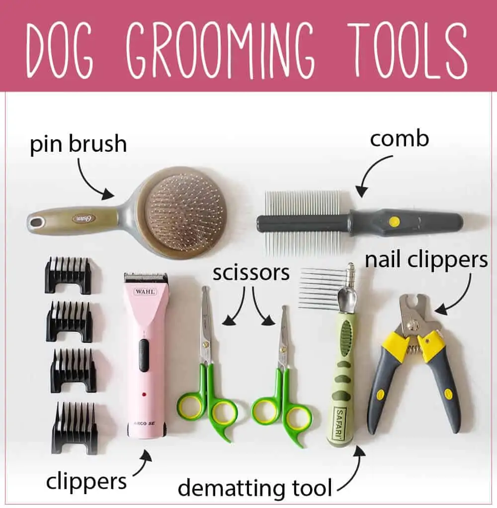 An assortment of dog grooming tools on a white sheet