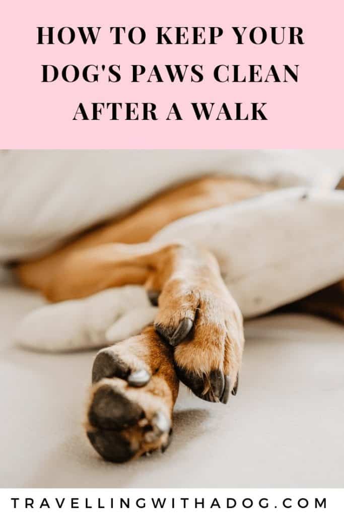 How To Quickly Clean Your Dog's Paws After A Walk