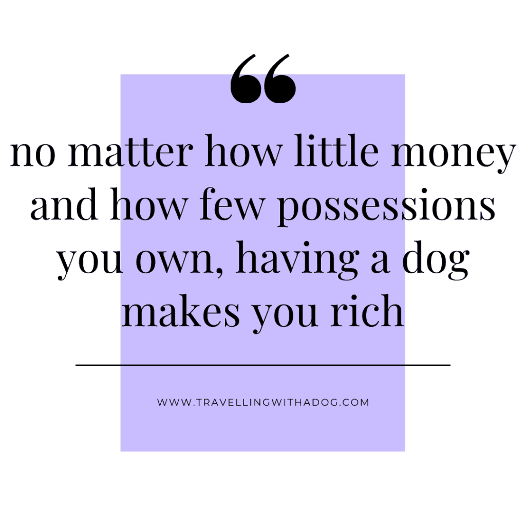quote: no matter how little money and how few possessions you own, having a dog makes you rich