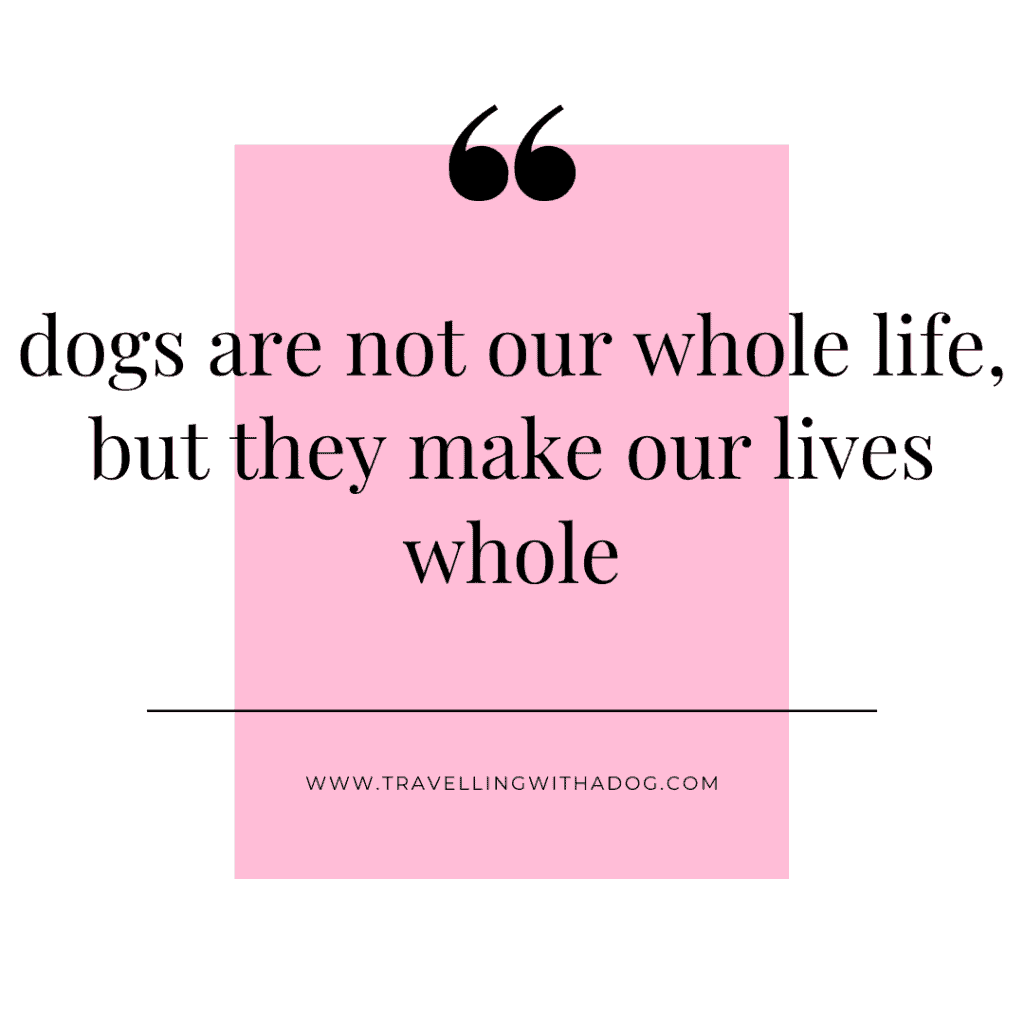 quote: dogs are not our whole life, but they make our lives whole