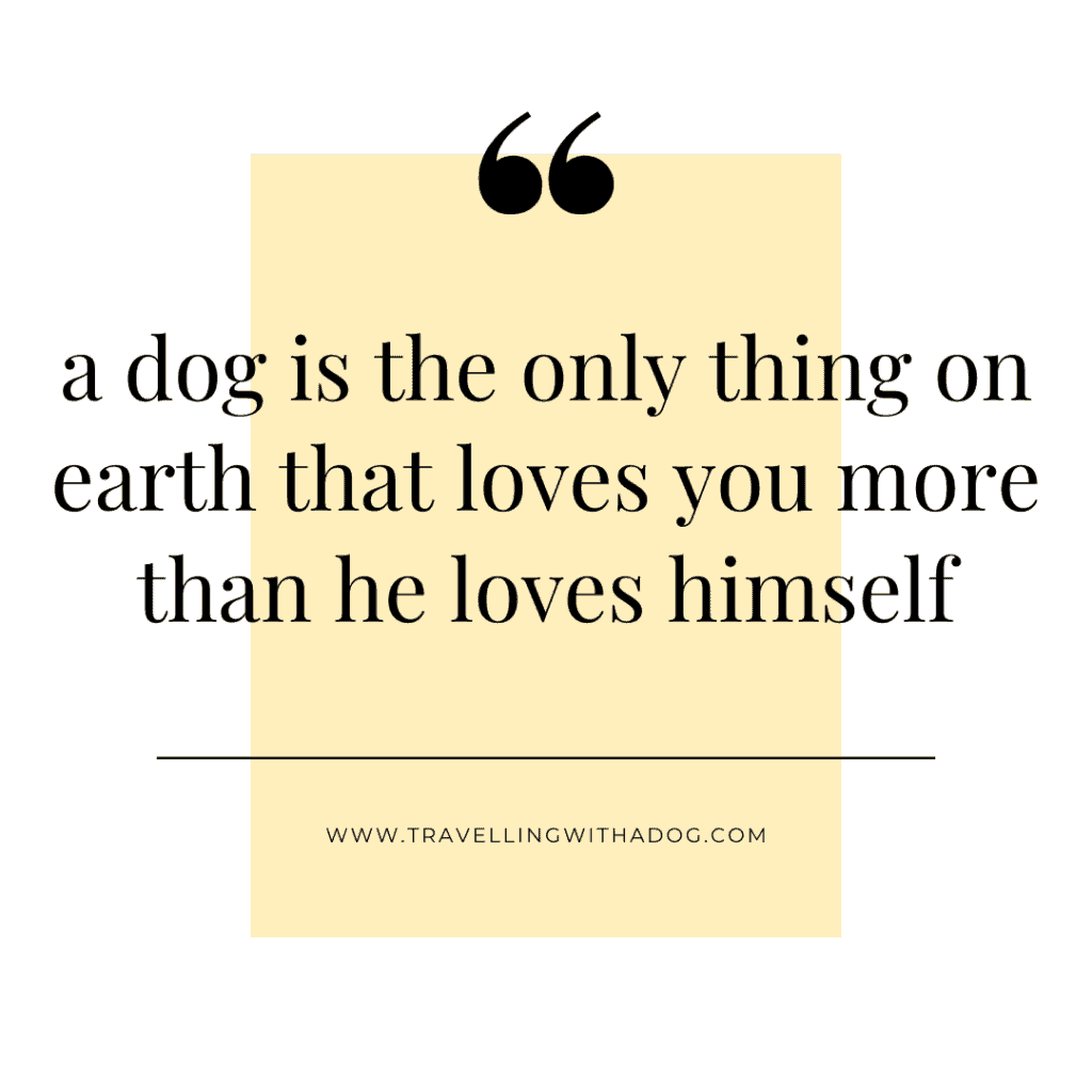 quote: a dog is the only thing on earth that loves you more than he loves himself