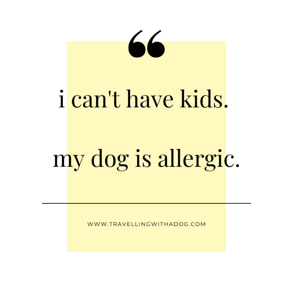 quote: i can't have kids. my dog is allergic
