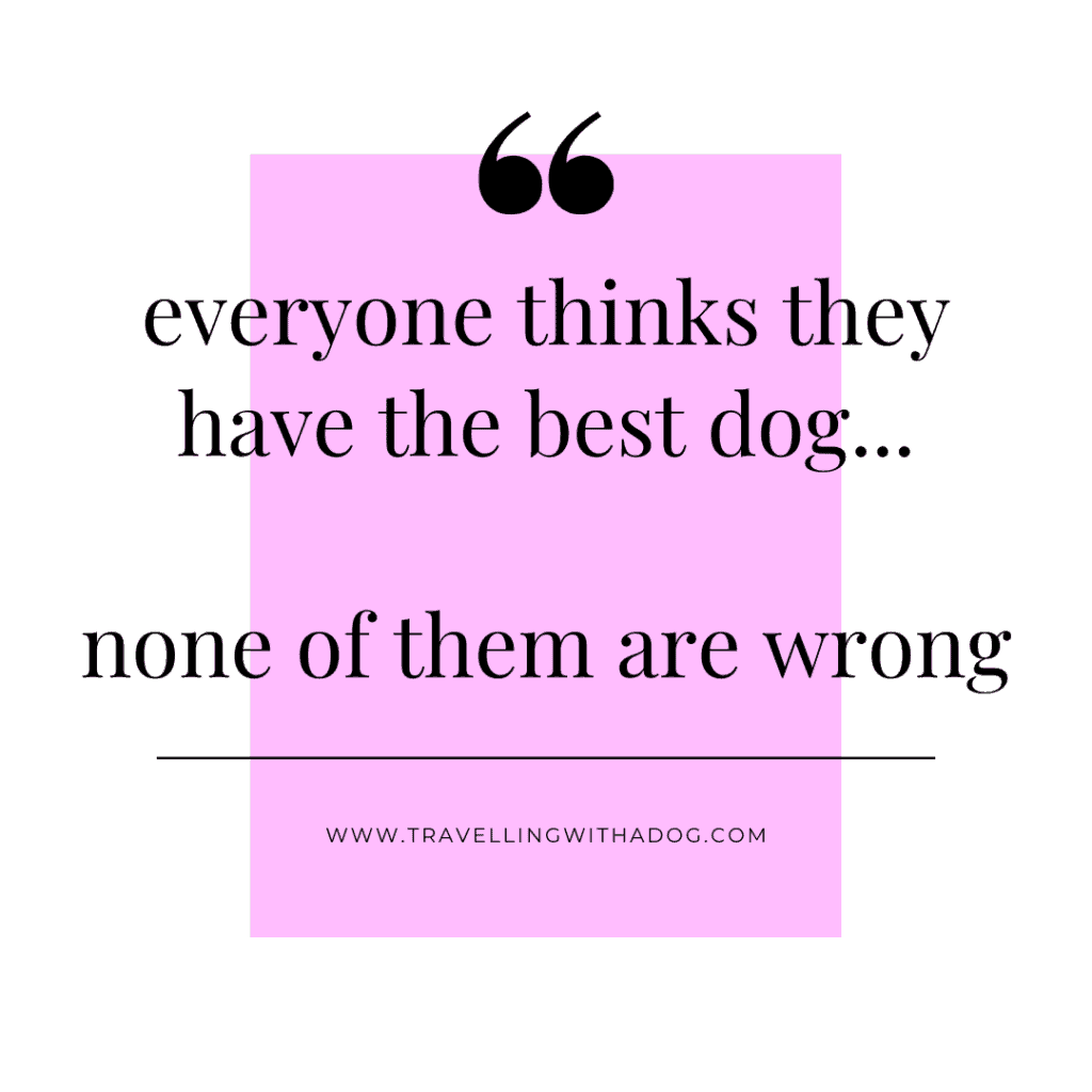 quote: everyone thinks they have the best dog...none of them are wrong