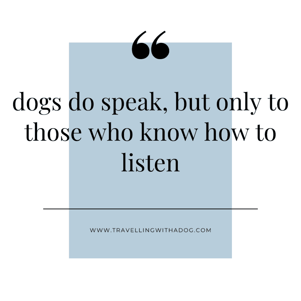 Image with text overlay that says: dogs do speak, but only to those who know how to listen