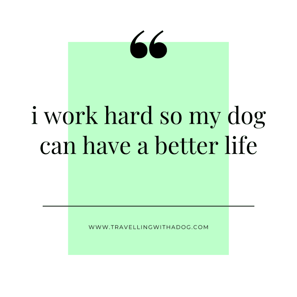 quote: i work hard so my dog can have a better life