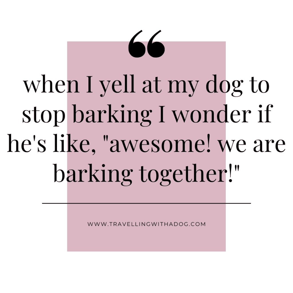quote graphic: when I yell at my dog to stop barking i wonder if he's like awesome, we are barking together