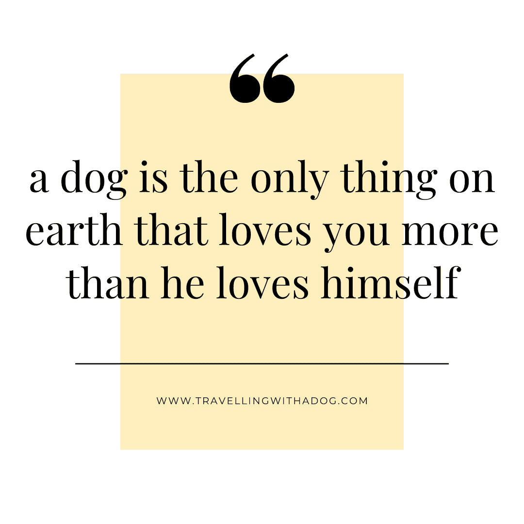 Inspirational, Funny and Heart-Warming Dog Quotes - Travelling With A Dog