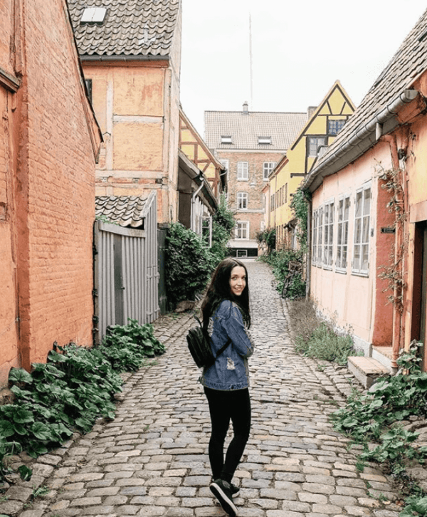 Living in Denmark as an Expat - Travelling With A Dog