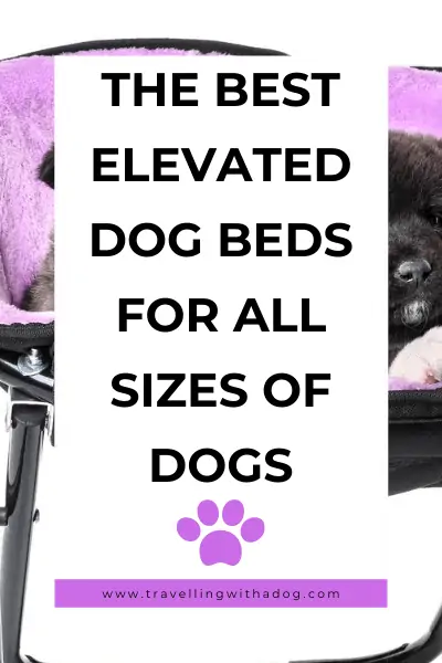 image with text overlay: the best elevated dog bed for all sizes of dogs