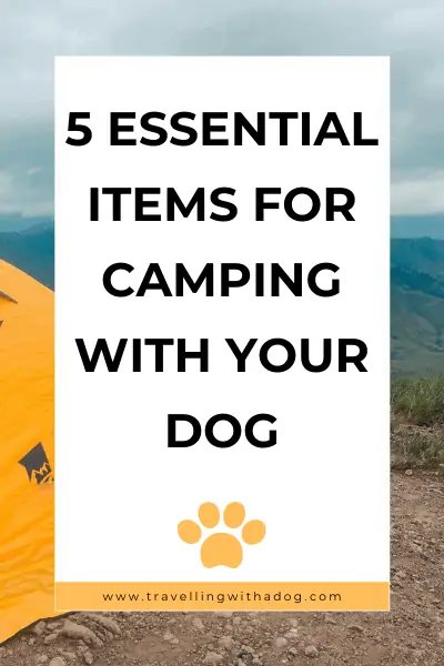 Image with text overlay: 5 essential items for camping with your dog