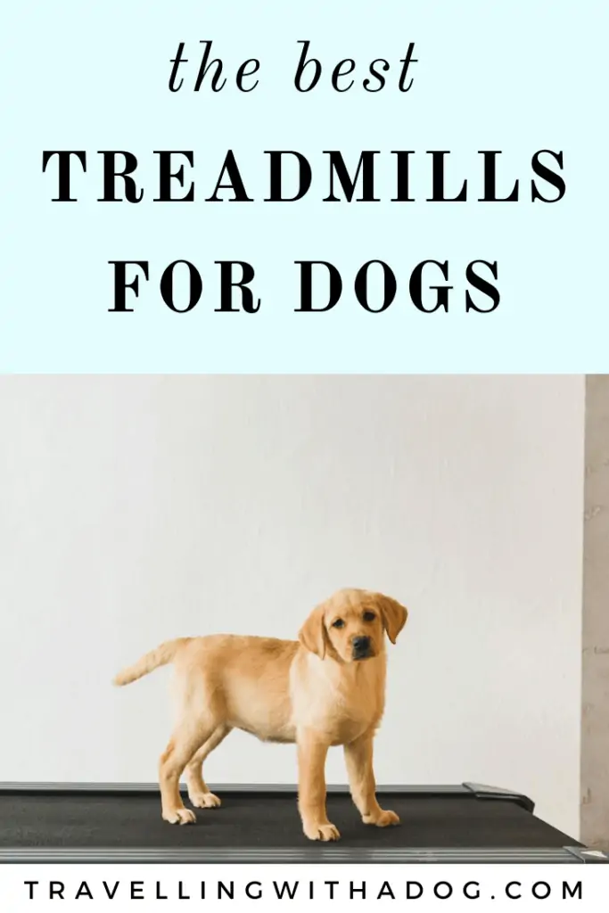 Image of dog standing on a treadmill with text that says: the best treadmills for dogs