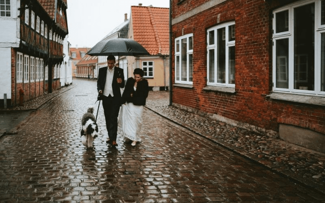 Bride, groom and dog walking in an old European town