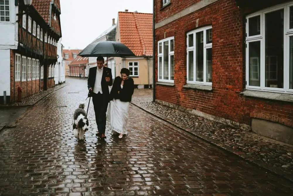Bride, groom and dog walking in an old European town