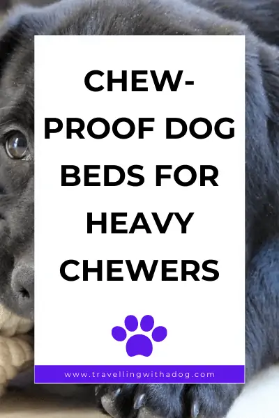 image with text overlay: chew-proof dog beds for heavy chewers