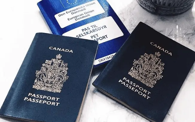 Picture of three blue passports on a marble table