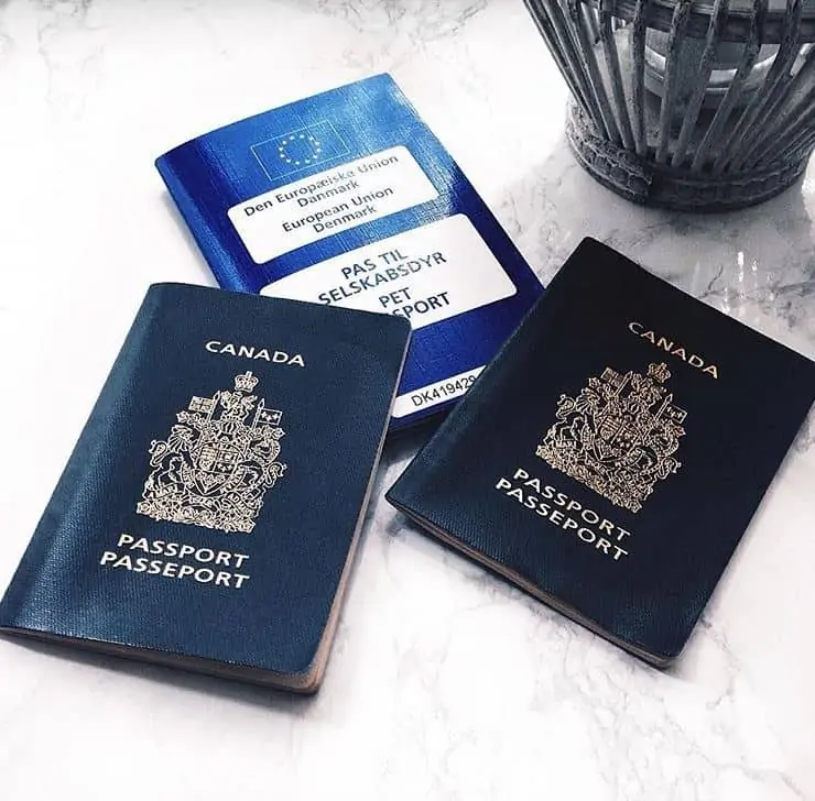 Picture of three blue passports on a marble table