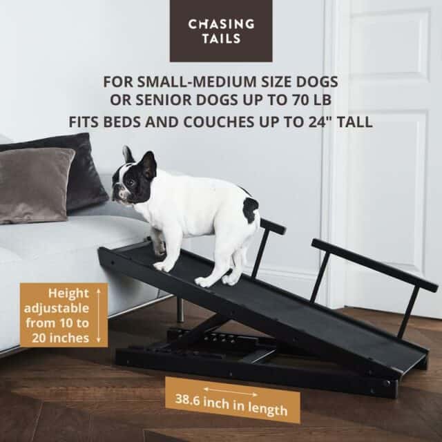 7 of the Best Ramps for Older Dogs [Detailed Reviews]