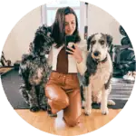 Two doodle dogs and a girl taking a selfie.