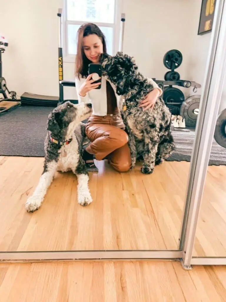 A girl talking a selfie with a Sheepadoodle and a Labradoodle.