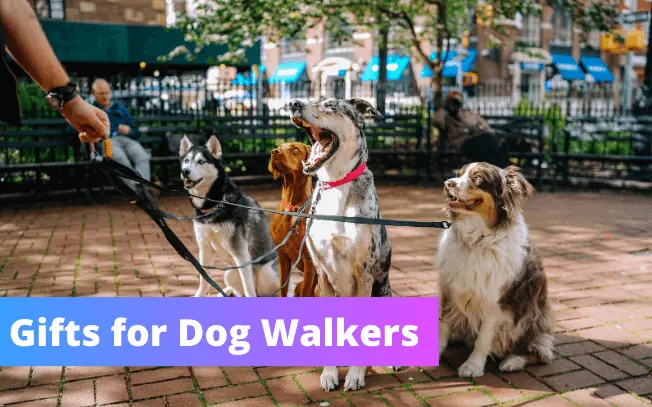 Gifts for dog walkers.